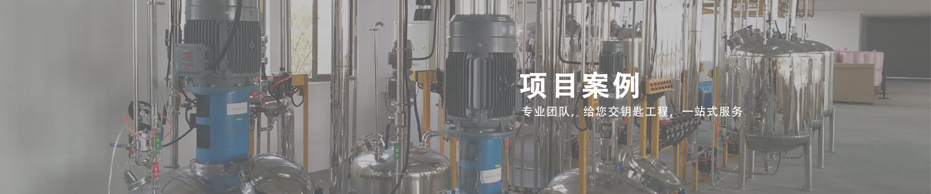 項目（mù）案例